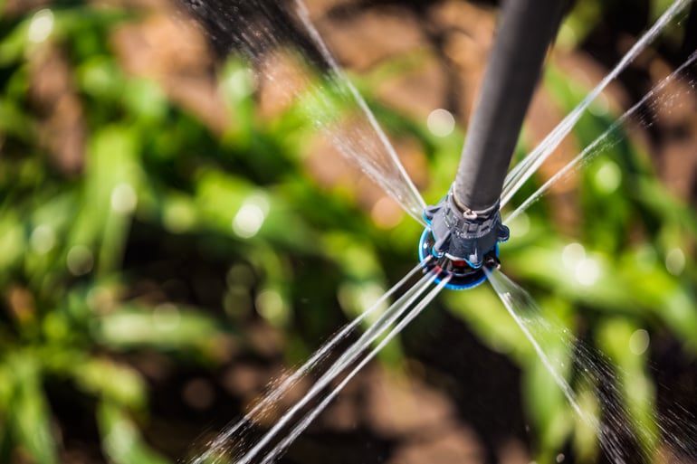 NelsonRotator_sprinklers_corn_YorkNE_June2012_026.png