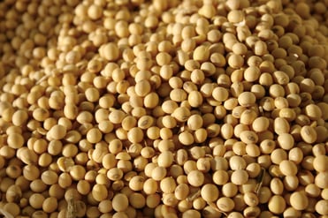soybeans03 - Copy.png
