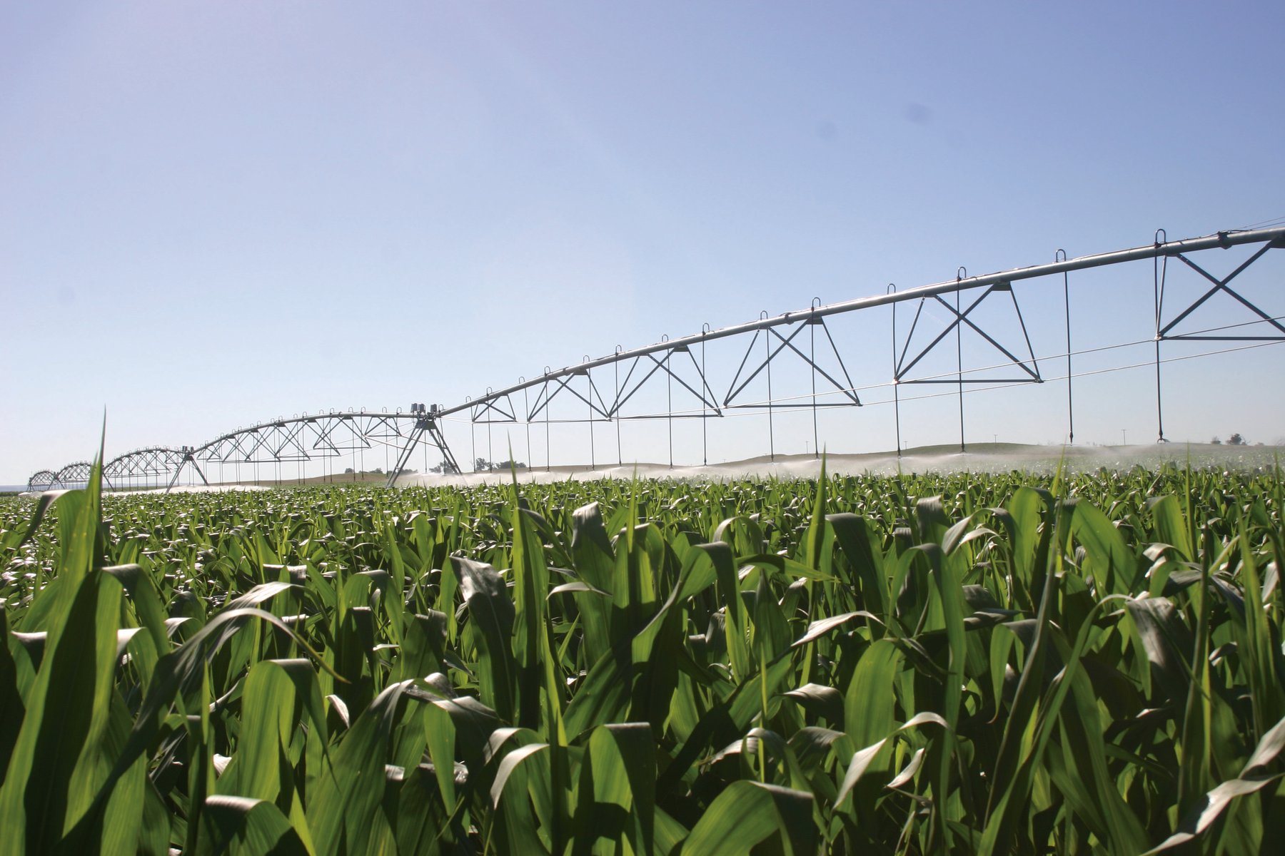 Celebrate Smart Irrigation Month