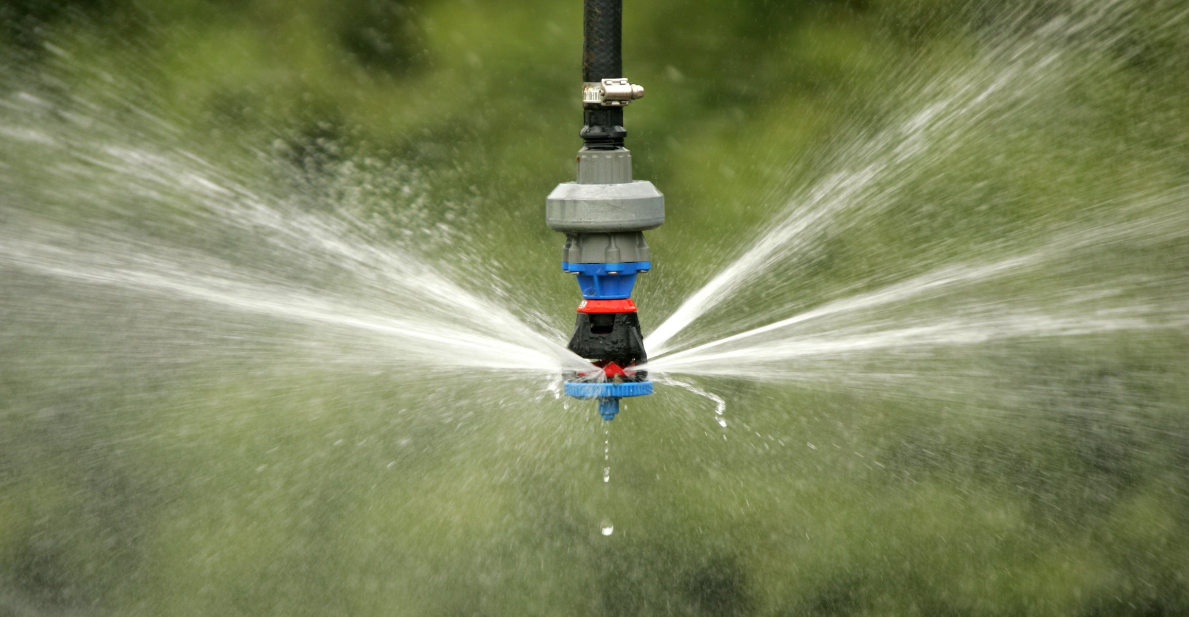 5 Things Dealers Look at When Designing Your Sprinkler Package