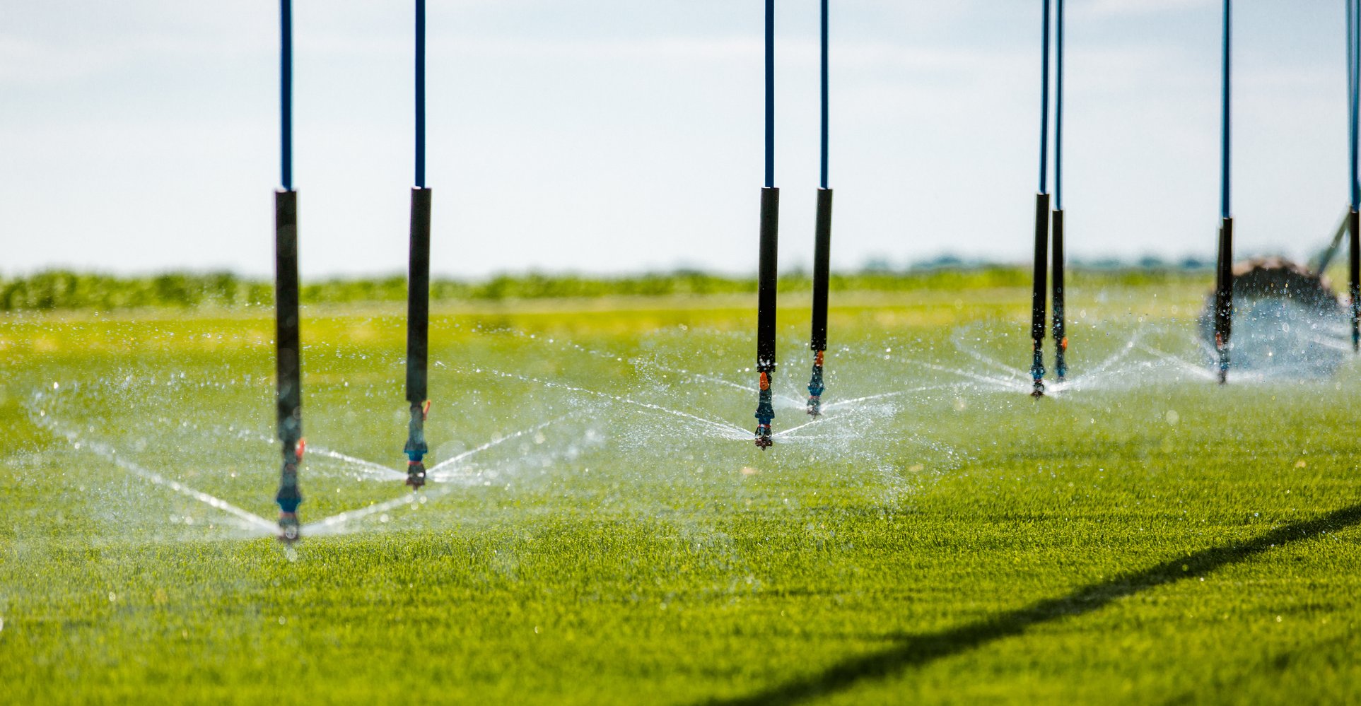 5 Things Dealers Look at When Designing Your Sprinkler Package