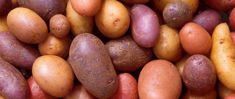 potatoes-522486_960_720.jpg