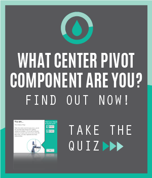 What Component Are You?